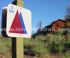 Multiple Trail Marker