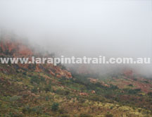 Rain on the Larapinta Trail