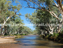 Flowing creeks on the Larapinta Trail after rain