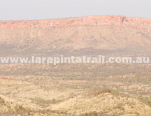 Summer on the Larapinta Trail