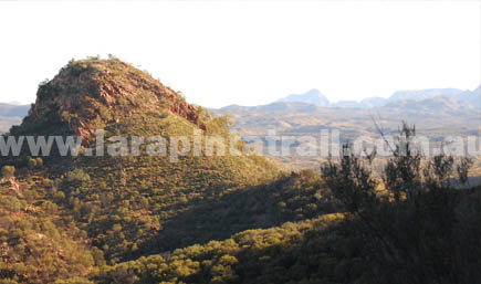 larapinta-trail-section-1