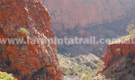 Section 10 Larapinta Trail