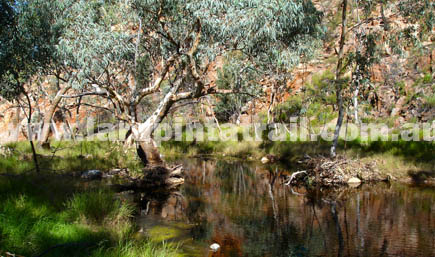 Section 2 Larapinta Trail