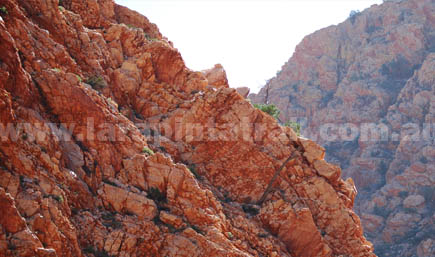 Section 3 Larapinta Trail