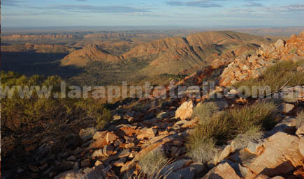 Section 4 Larapinta Trail