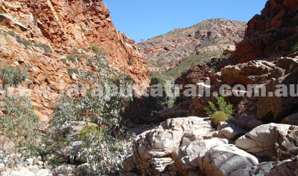 Section 5 Larapinta Trail