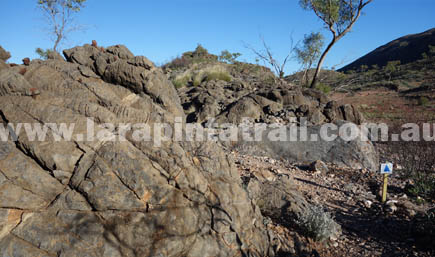 Section 7 Larapinta Trail