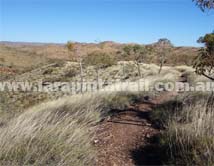 Section 10 Larapinta Trail