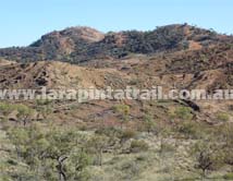 Section 10 Larapinta Trail