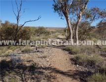 Section 10 Larapinta Trail