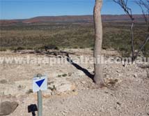 Section 10 Larapinta Trail