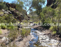 Section 1 Larapinta Trail