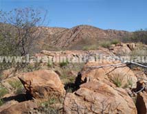 Section 2 Larapinta Trail