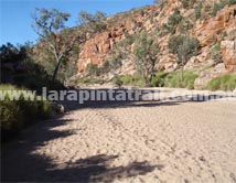 Section 3 Larapinta Trail