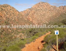 Section 3 Larapinta Trail