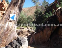 Section 3 Larapinta Trail