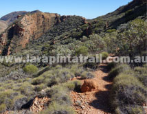 Section 4 Larapinta Trail