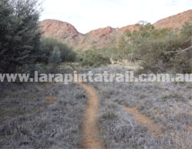 Section 4 Larapinta Trail