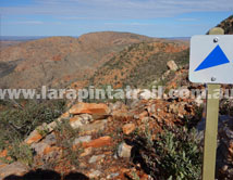 Section 4 Larapinta Trail