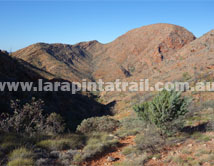 Section 5 Larapinta Trail
