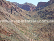 Section 5 Larapinta Trail