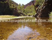 Section 5 Larapinta Trail