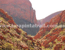 Section 5 Larapinta Trail