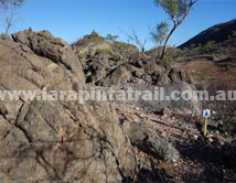 Section 7 Larapinta Trail