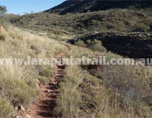 Section 7 Larapinta Trail