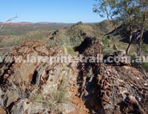 Section 7 Larapinta Trail