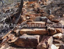 Section 8 Larapinta Trail