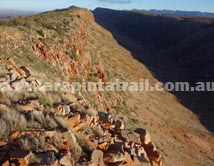 Section 8 Larapinta Trail