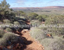 Section 8 Larapinta Trail