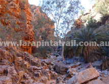 Section 9 Larapinta Trail