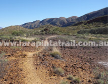 Section 9 Larapinta Trail