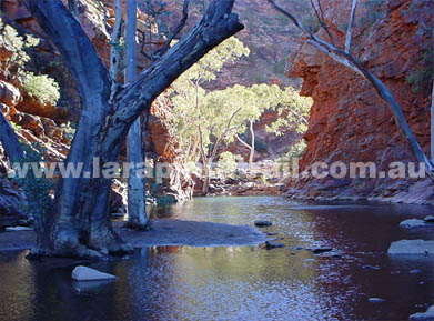 Serpentine Gorge, early morning shot.