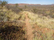 Section 1 Larapinta Trail