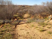 Section 1 Larapinta Trail