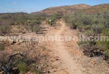 Section 2 Larapinta Trail