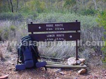 Section 3 Larapinta Trail