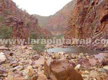 Section 5 Larapinta Trail