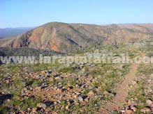 Section 8 Larapinta Trail