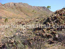 Section 9 Larapinta Trail