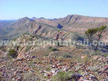 Section 9 Larapinta Trail